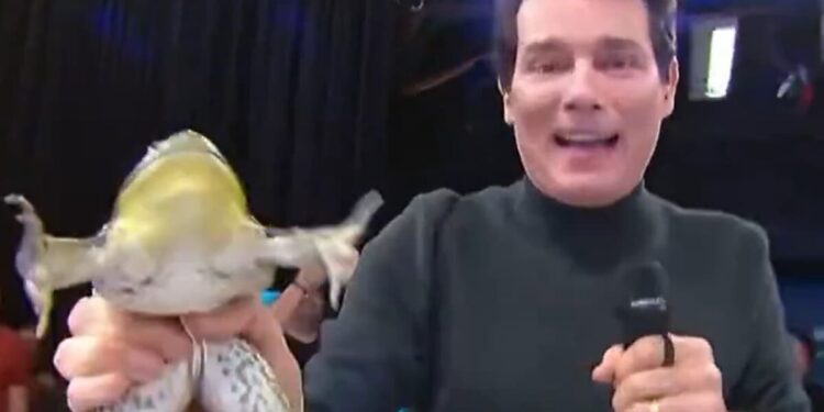 Ação contra Celso Portiolli e SBT por crueldade animal pode ganhar perícia