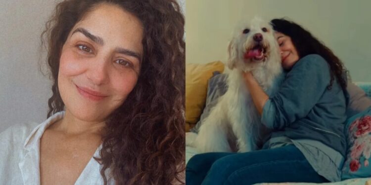 Letícia Sabatella mostra retorno de cachorro após decisão judicial: “Um alívio”; assista Letícia Sabatella