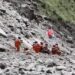 Buscas continuam no Nepal: mortes passam de 1.000 e há 4 mil desaparecidos