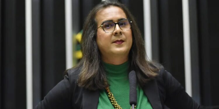 Duda Salabert relata tentativa de homicídio durante fiscalização contra mineração em MG: “Vou morrer” Zeca Ribeiro/Câmara dos Deputados