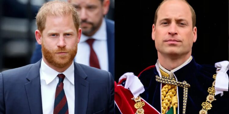 Especialista revela projeto de Harry sobre Diana que teria contribuído para o retorno ao Reino Unido e deixado William furioso Especialista revela projeto de Harry sobre Diana que teria contribuído para o retorno ao Reino Unido e deixado William furioso