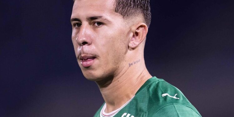 Felipe Teresa, do Palmeiras, reage após ser acusado de agressão contra a ex