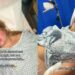 Influenciadora quase morre por atitude após depilar virilha: “Do tamanho de um iPhone 16 Pro Max” Influenciadora quase morre por atitude após depilar virilha: “Do tamanho de um iPhone 16 Pro Max”