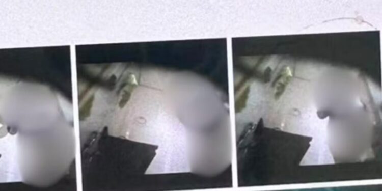 Mulher se surpreende com descoberta em celular de patrão, que vai preso em MG Mulher descobre câmeras escondidas no banheiro do trabalho e denuncia ex-patrão em MG (Foto: Reprodução/g1)