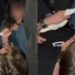 Toalha suada de Luan Santana causa disputa entre rapaz e criança em show, e vídeo viraliza; assista Fotos: Reprodução/ Instagram